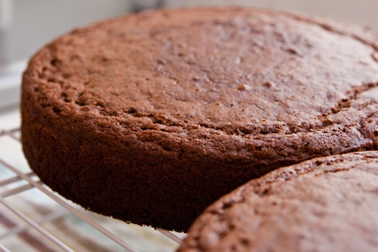 chocolate-cake.jpg