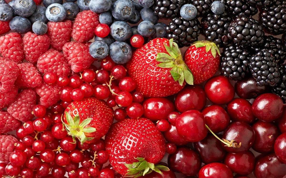 Berries 1