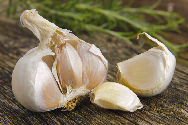 Garlic