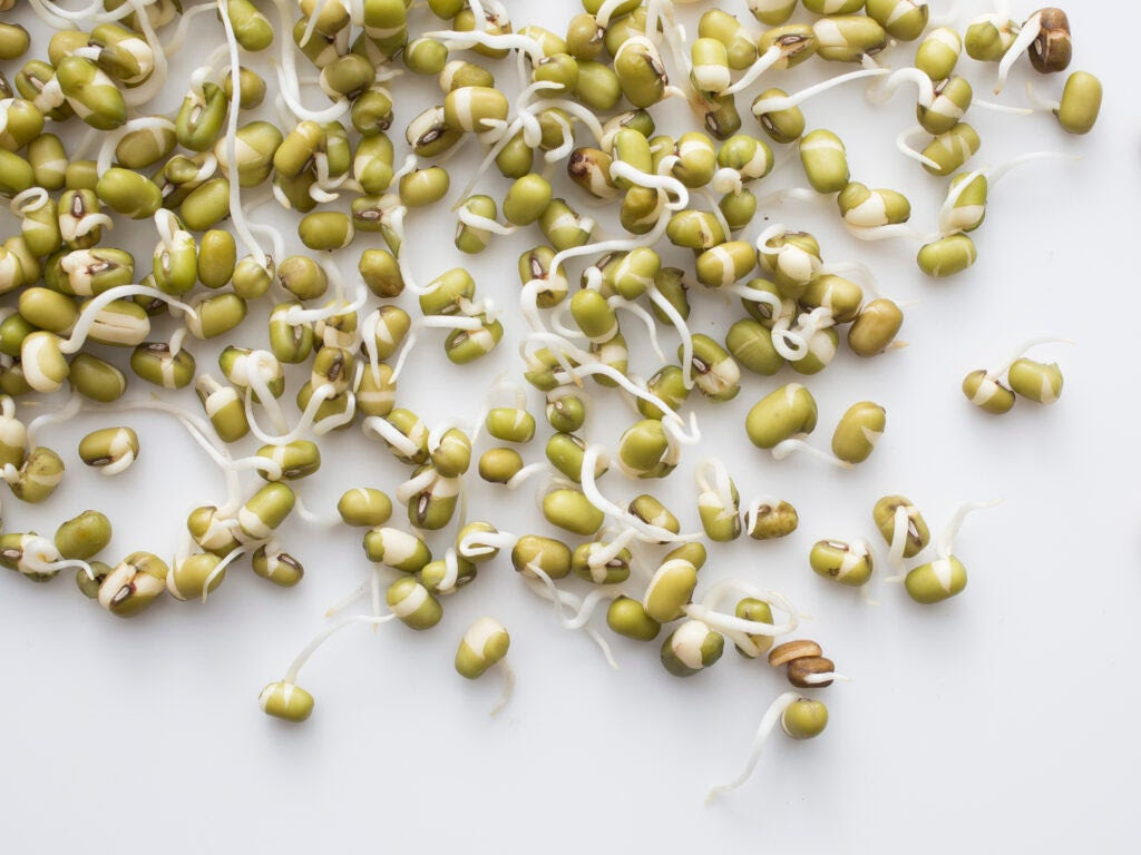 Sprouts 1