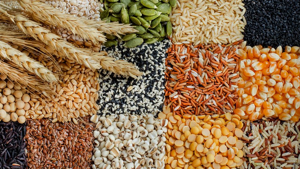 grains
