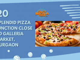 20 Splendid Pizza Junction Close to Galleria Market Gurgaon