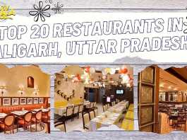 top 20 restaurants in aligarh up
