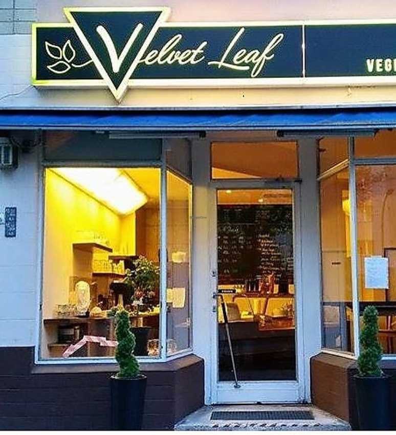 Velvet Leaf