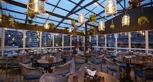 Basil Garden