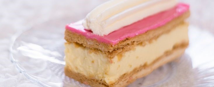 Tompouce – Traditional Dutch Pastry