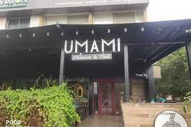 Umami – Chinese Thai Umami – Chinese Thai
