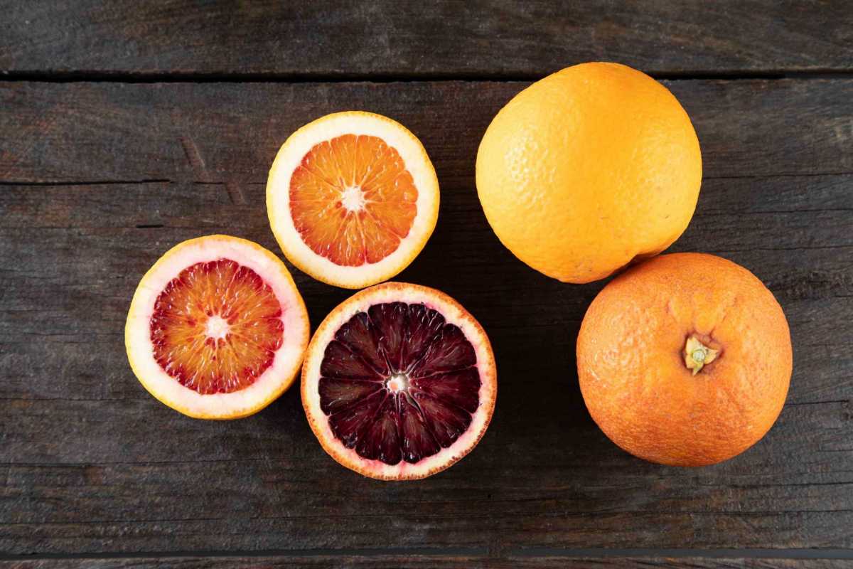 Citrus Fruits 1