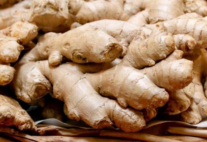 Ginger 1