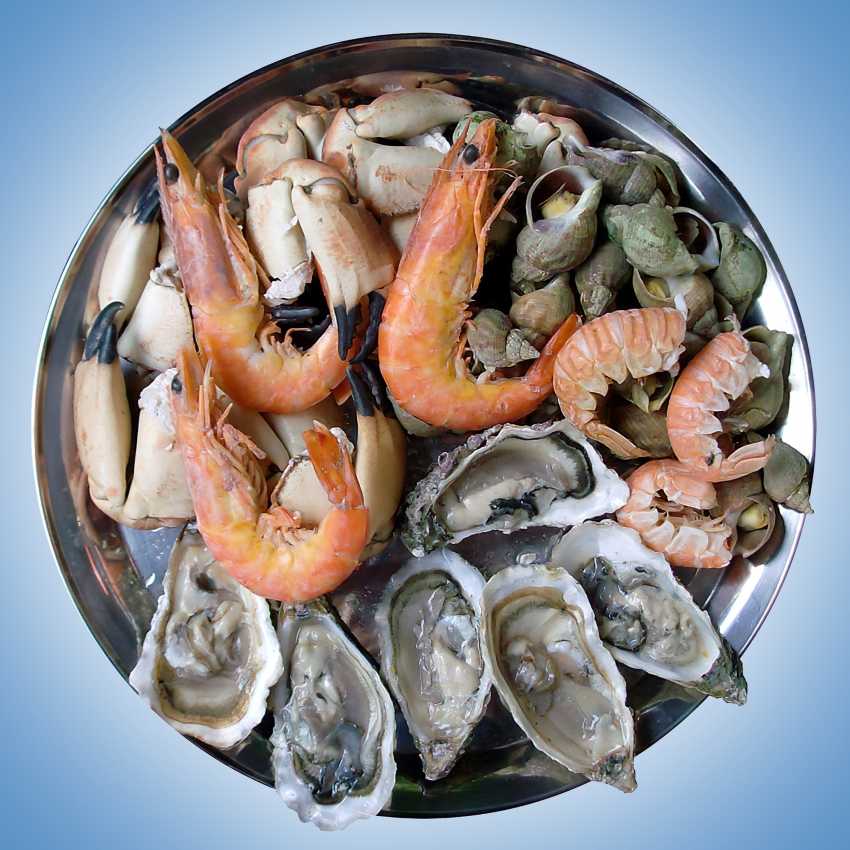 Sea fish