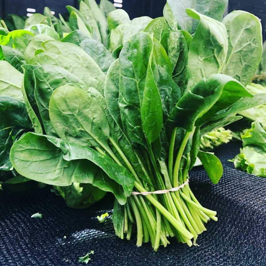 1. Spinach