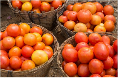 11. Tomatoes increase immunity
