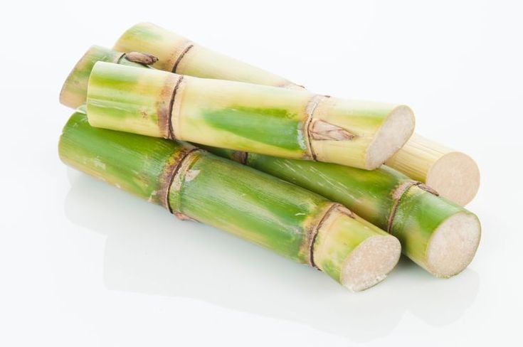 12 Sugarcane