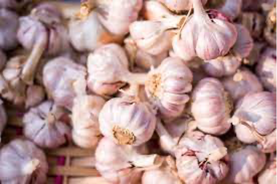 13 Garlic