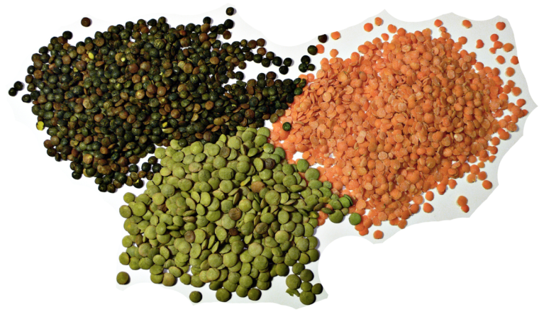 13 Lentils 13 Lentils