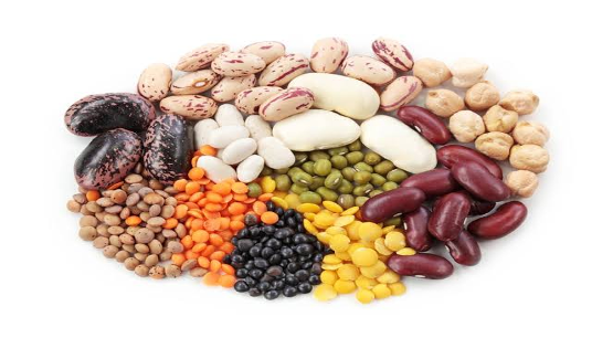 13. Beans and Legumes