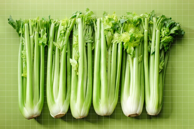 14 Celery 14 Celery