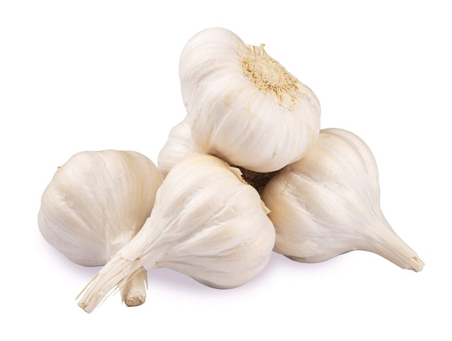 17 Garlic 17 Garlic