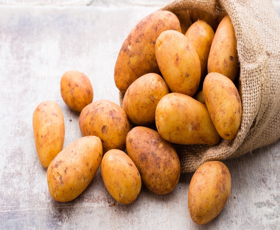 2. Russet Potato