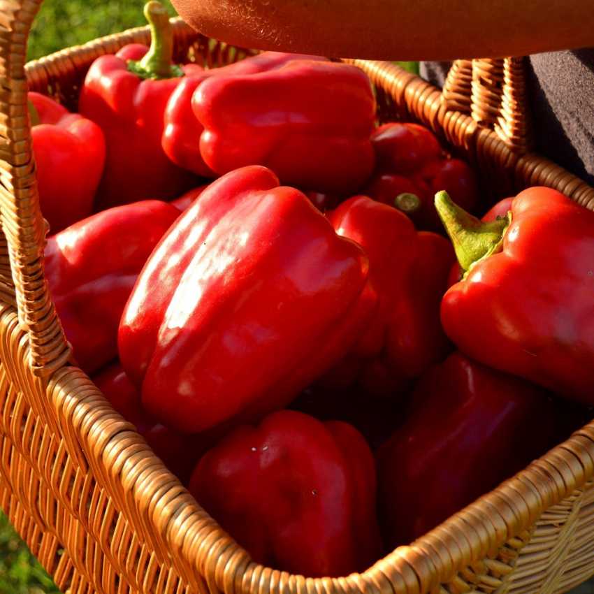 4. Red bell peppers