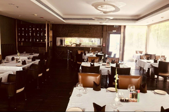 Bay leaf – Fine Dining 5 Bay leaf – Fine Dining