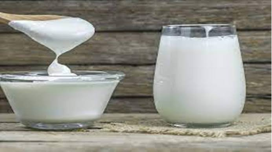 5. Dairy Products