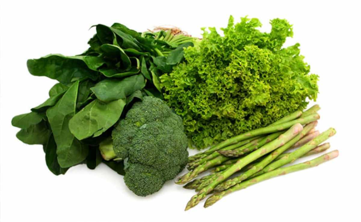 6 Green Leafy Vegetables 6 Green Leafy Vegetables