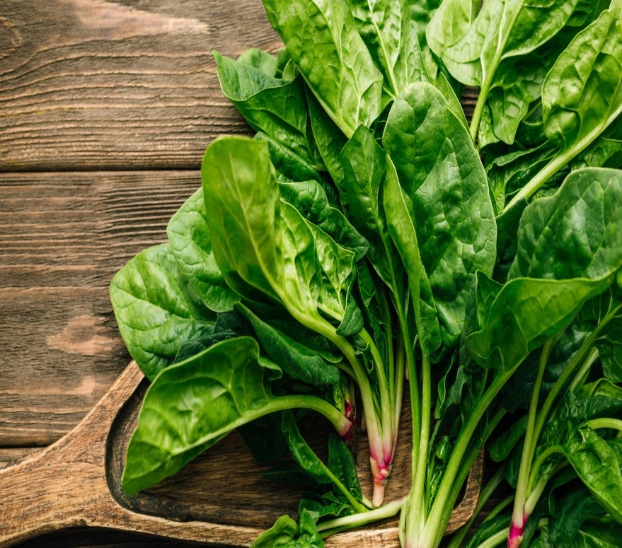 6. Spinach 1