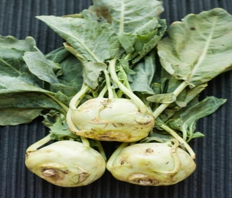 8 Kohlrabi
