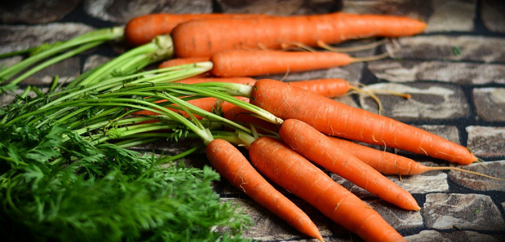 Carrots