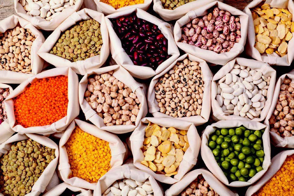 Legumes
