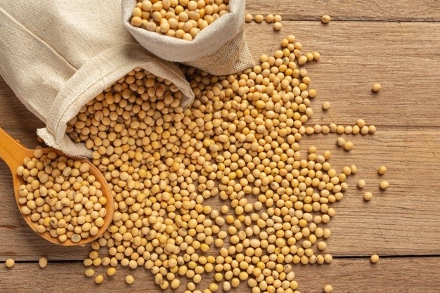 Soybean