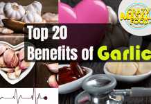 Top 20 Benefits of Garlic