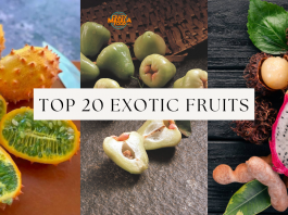 top 20 exotic fruits