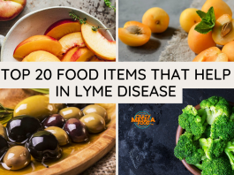 top 20 food items that help in lyme disease