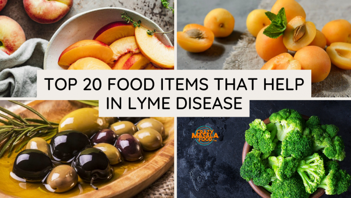 top 20 food items that help in lyme disease