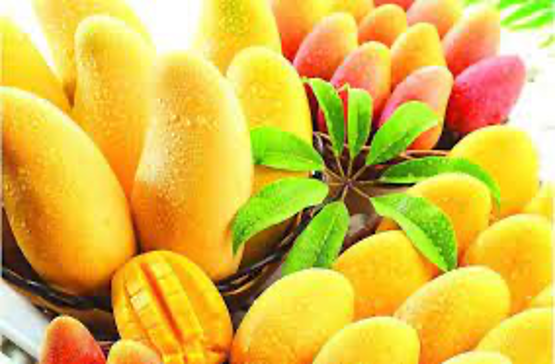 15 Mangoes