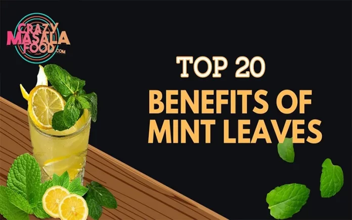 Top-20-Benefits-of-Mint-Leaves