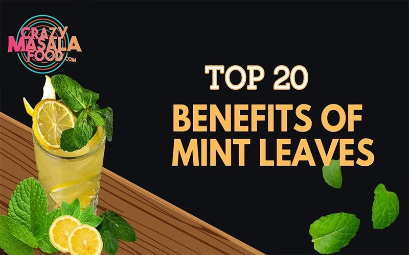 Top-20-Benefits-of-Mint-Leaves