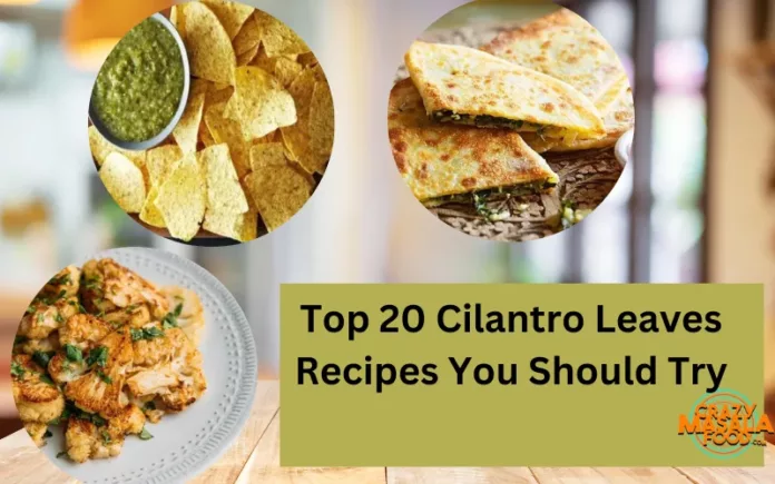 Top 20 Cilantro Leaves Recipes You Should Try