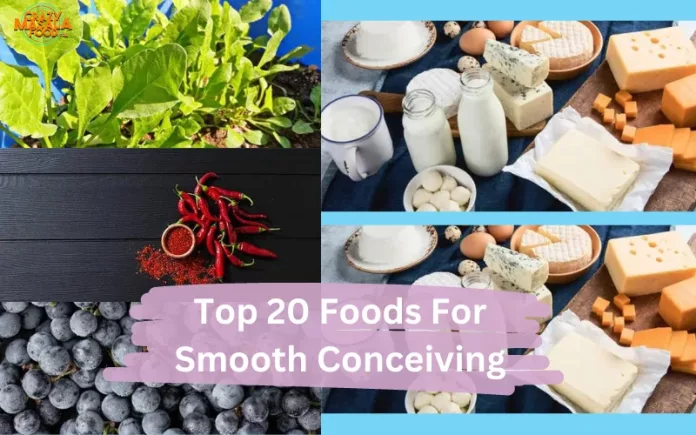 Top 20 Foods For Smooth Conceiving