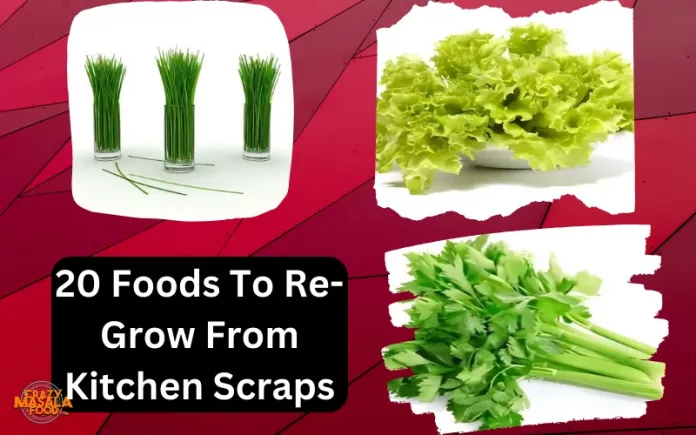20 Foods To Re-Grow From Kitchen Scraps 20 Foods To Re-Grow From Kitchen Scraps