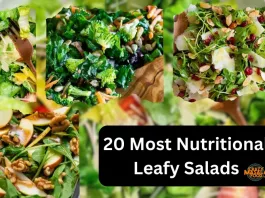 20 Most Nutritional Leafy Salads