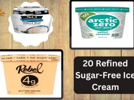 20 Refined Sugar-Free Ice Cream