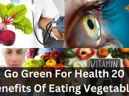 Go Green For Health 20 Benefits Of Eating Vegetables