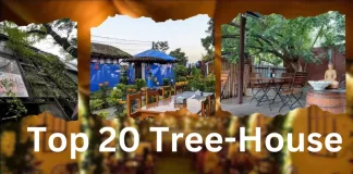 Top 20 Tree-House Restaurants