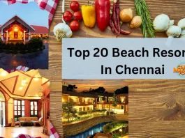 Top 20 Beach Resorts In Chennai