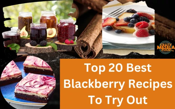 Top 20 Best Blackberry Recipes To Try Out
