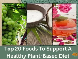 Top 20 Foods To Support A Healthy Plant-Based Diet