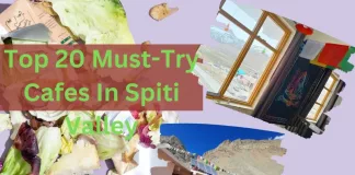 Top 20 Must-Try Cafes In Spiti Valley